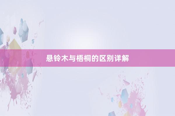 悬铃木与梧桐的区别详解