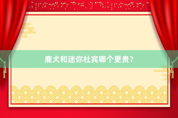 鹿犬和迷你杜宾哪个更贵？