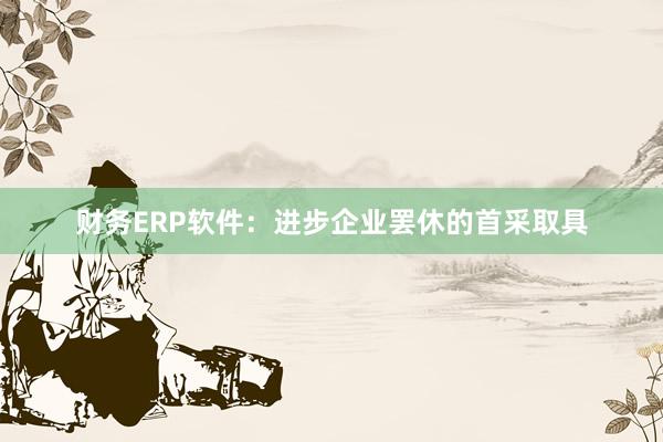财务ERP软件：进步企业罢休的首采取具
