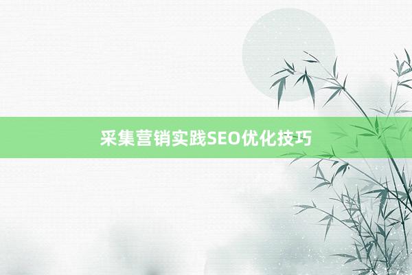 采集营销实践SEO优化技巧